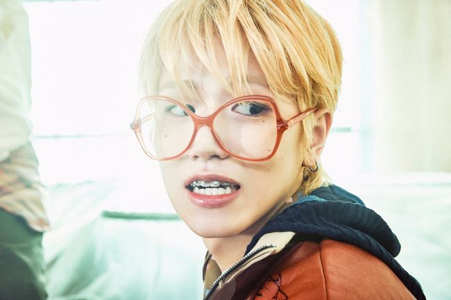 KOZ엔터테인먼트 제공