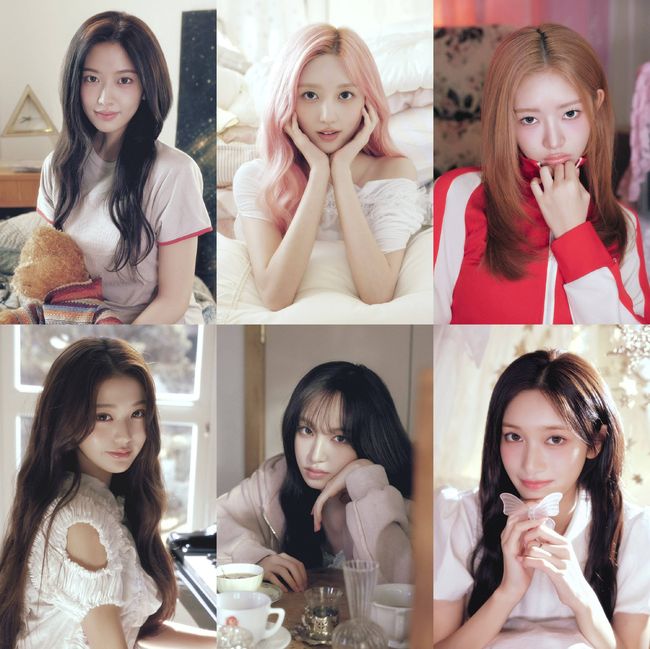 스타쉽엔터테인먼트 제공