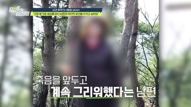 채널A 제공
