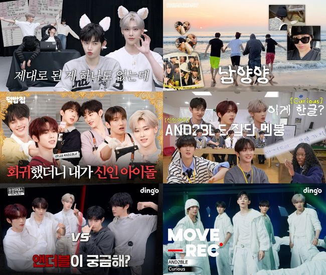 YH엔터테인먼트 제공