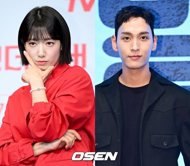 OSEN DB