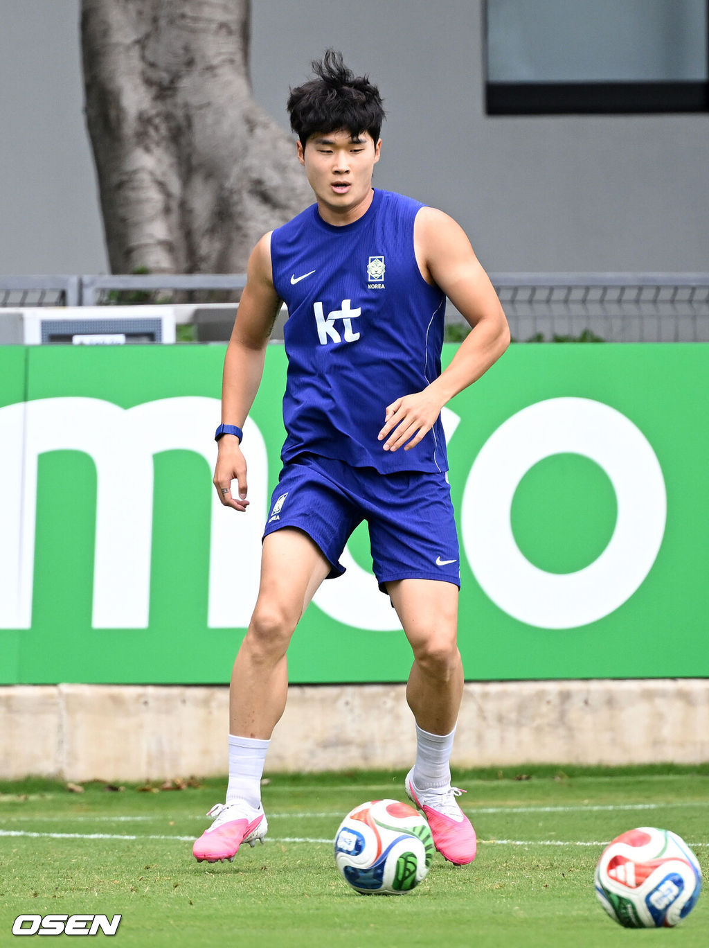 홍명보 감독이 이끄는 대한민국 축구국가대표팀이 16일(한국시각) 멕시코 과달라하라 인근 사포판의 치바스 베르데 바예에서 훈련을 진행했다.대표팀은 전날 A조 1차전에서 체코를 상대로 2-1 역전승을 거뒀다. 남아프리카공화국을 2-0으로 제압한 개최국 멕시코에 이은 조 2위다.대한민국 김태현이 훈련을 하고 있다. 2026.06.16 /sunday@osen.co.kr