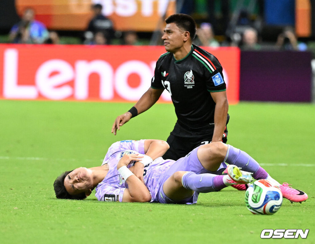 대한민국 양현준 2026.06.19 /sunday@osen.co.kr