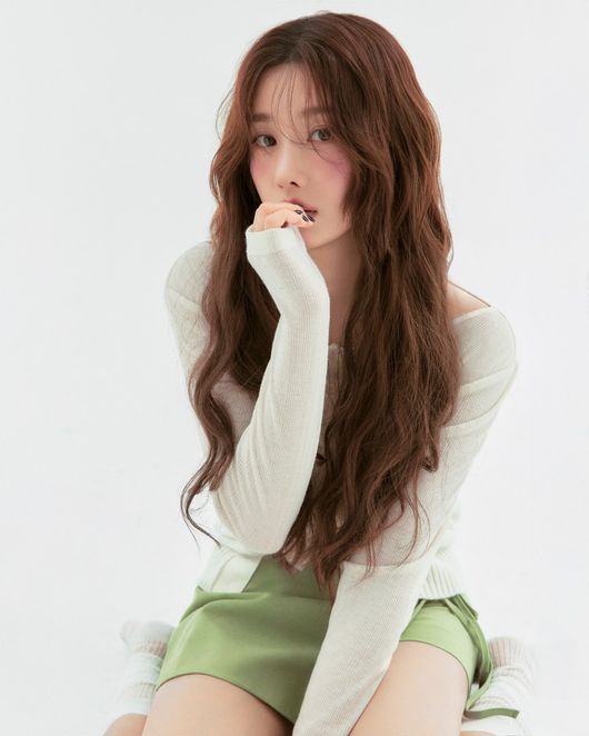 RBW 제공