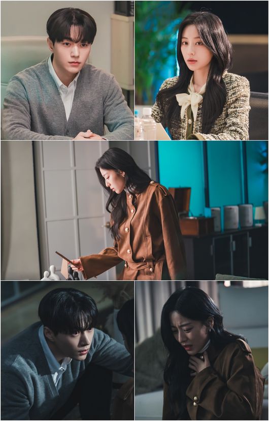 '공감세포' 측 제공