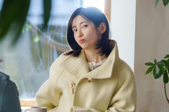나무엑터스 제공