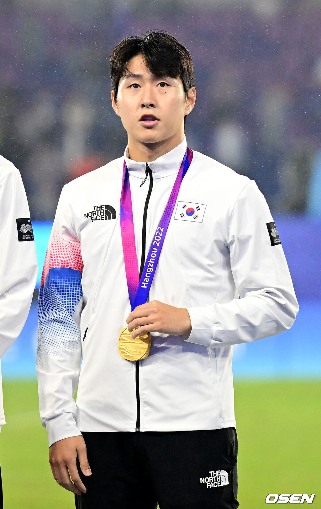 OSEN DB