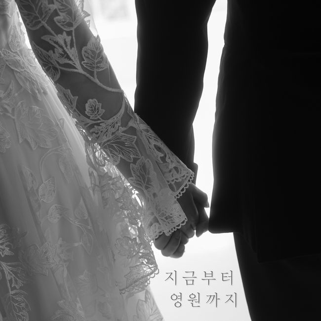 다날엔터테인먼트 제공