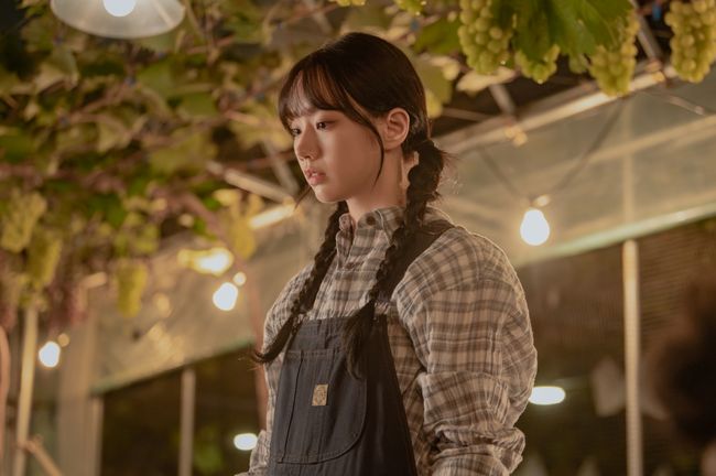KT스튜디오지니 제공