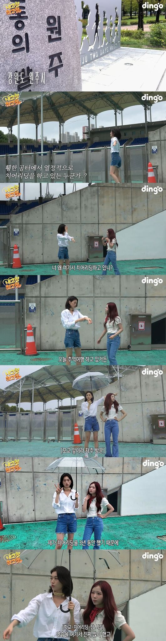 '딩고 스튜디오' 영상