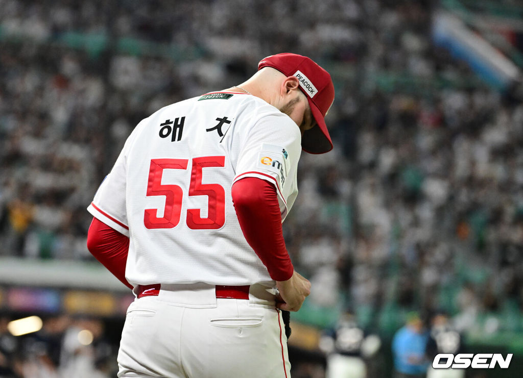 OSEN DB