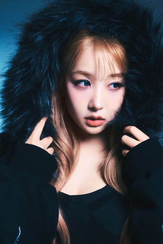 키움 히어로즈 제공