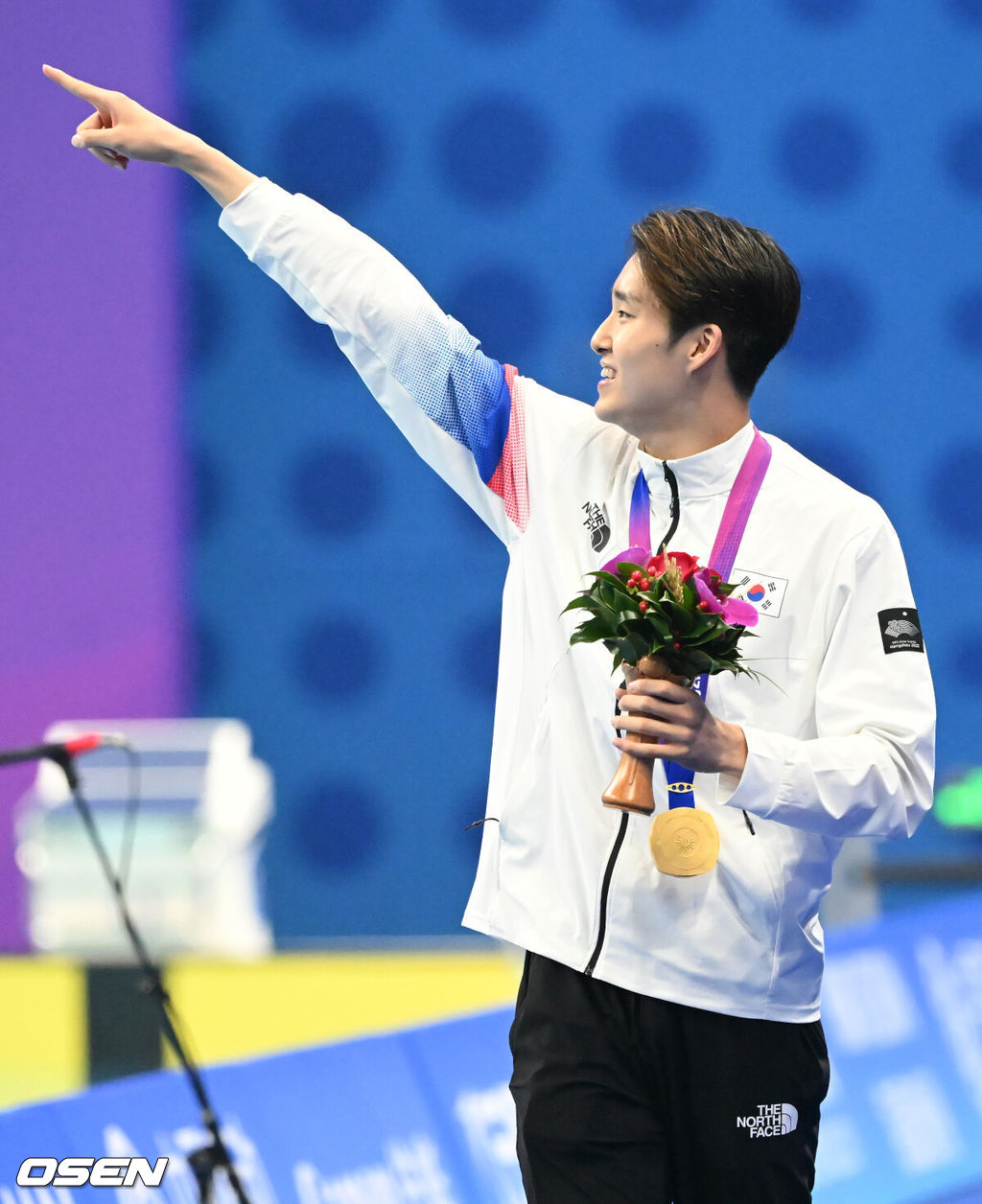 OSEN DB