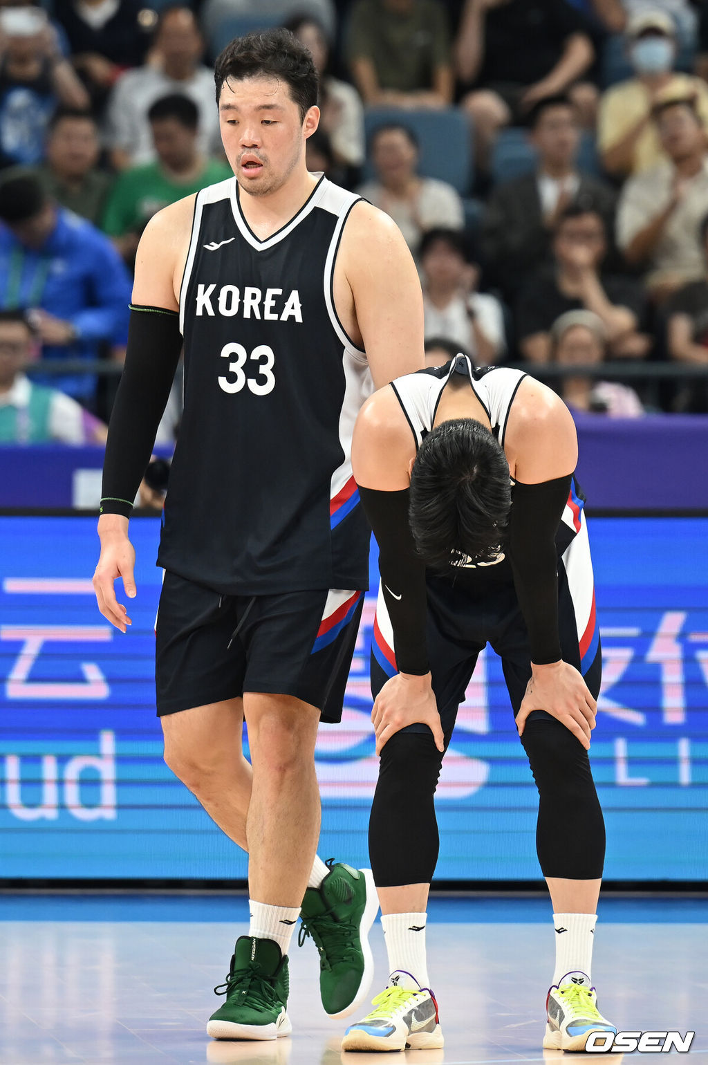 OSEN DB