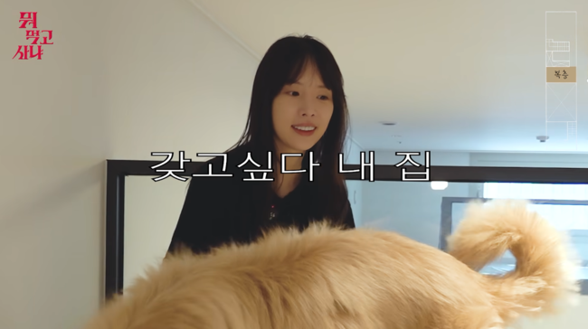 '새고' 영상