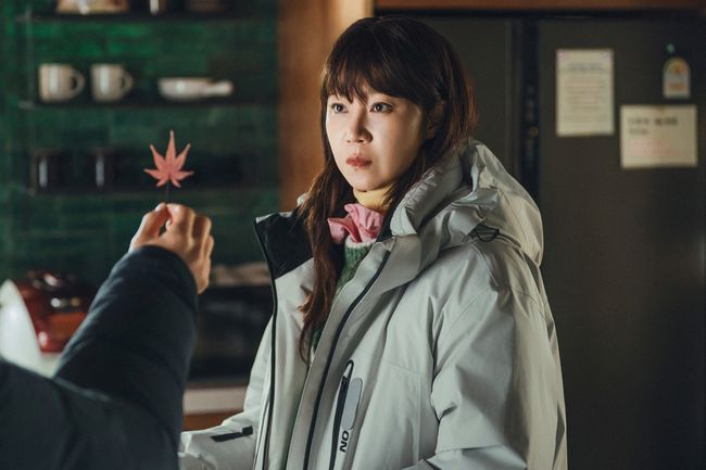 매니지먼트 숲 제공