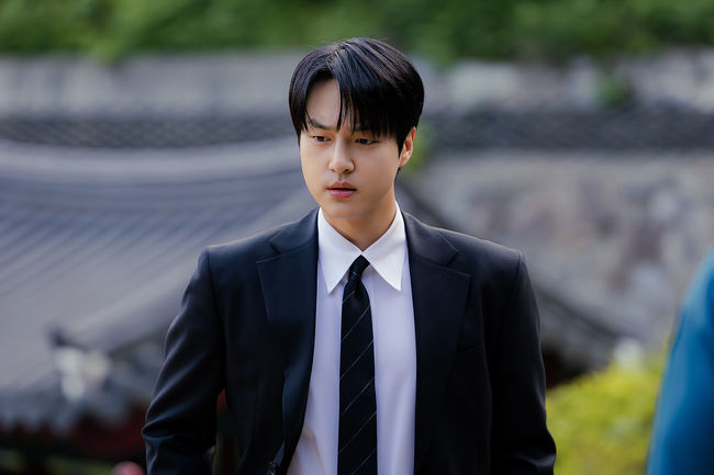 tvN 제공