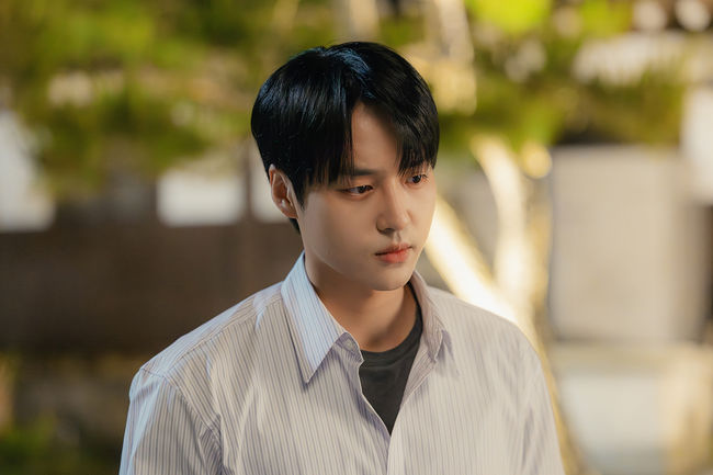 tvN 제공