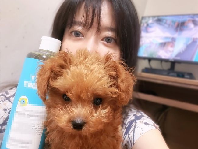 구혜선 SNS
