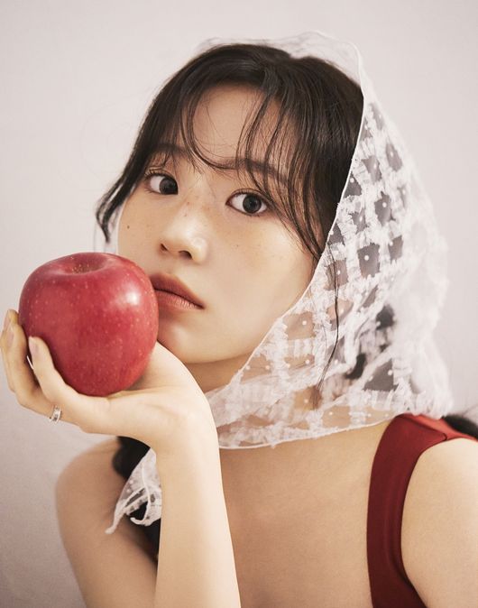 제이와이드컴퍼니 제공
