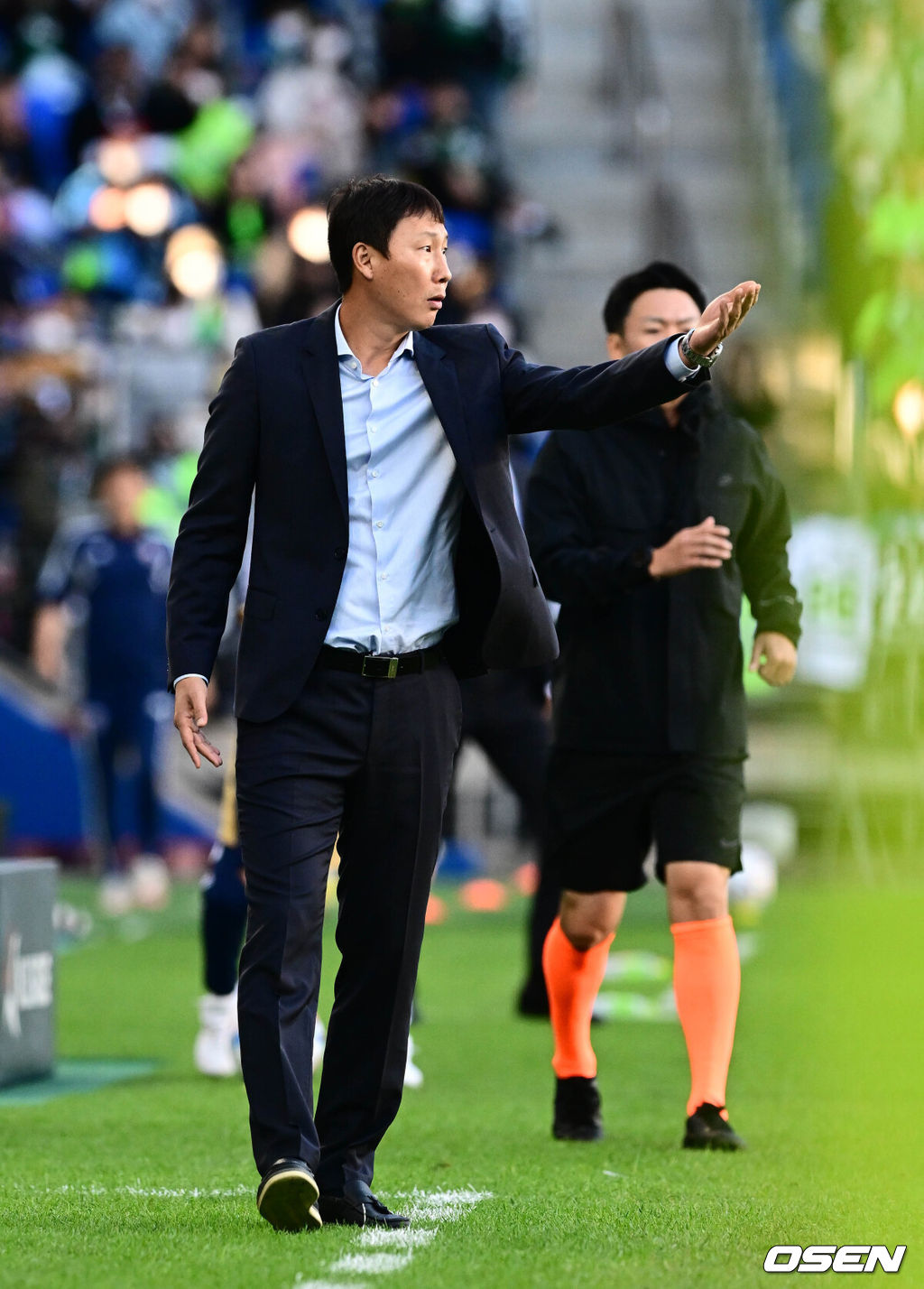 OSEN DB