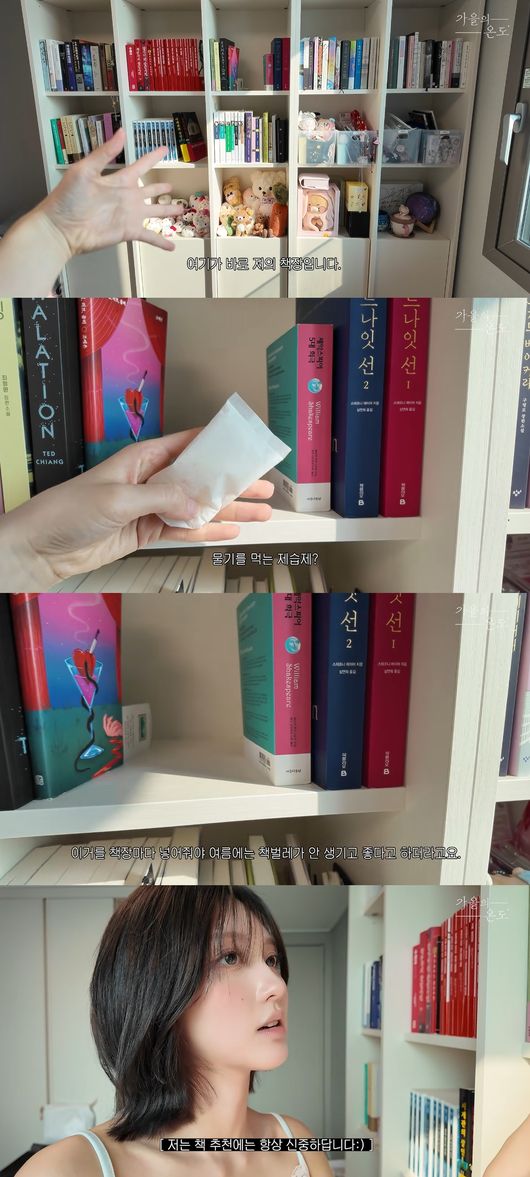 '가을의 온도' 영상