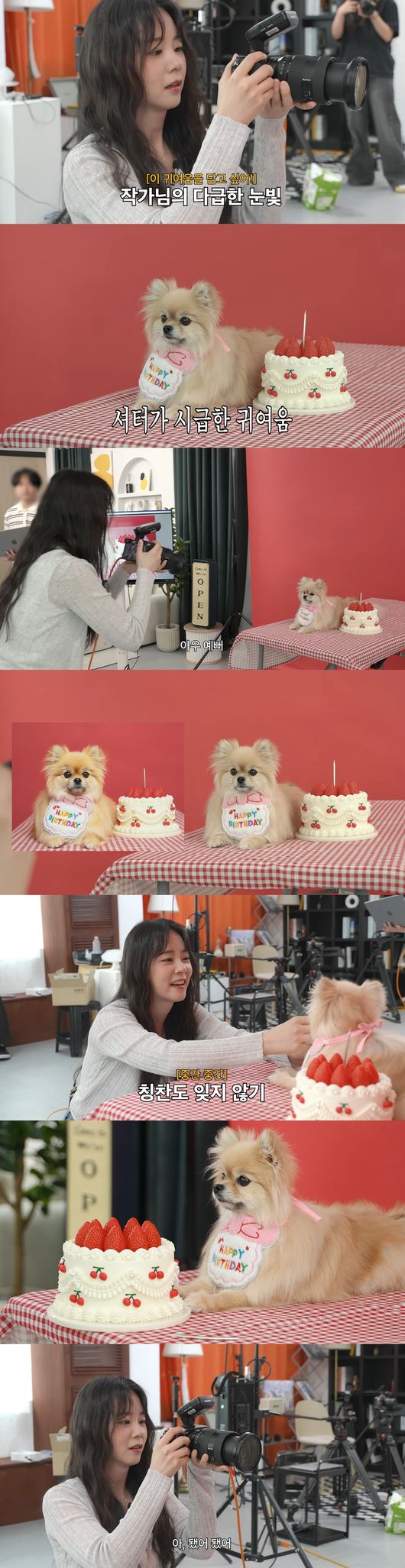 '한승연의 댕댕이사진관' 영상