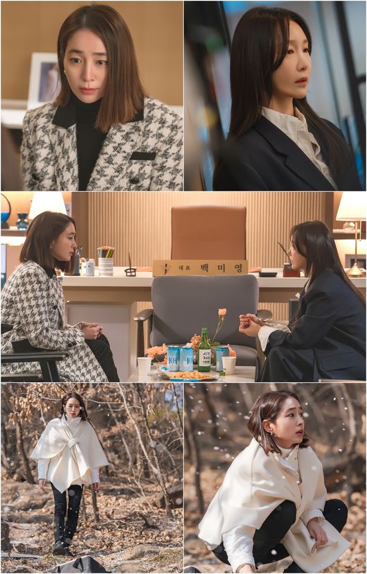 캔버스엔 제공