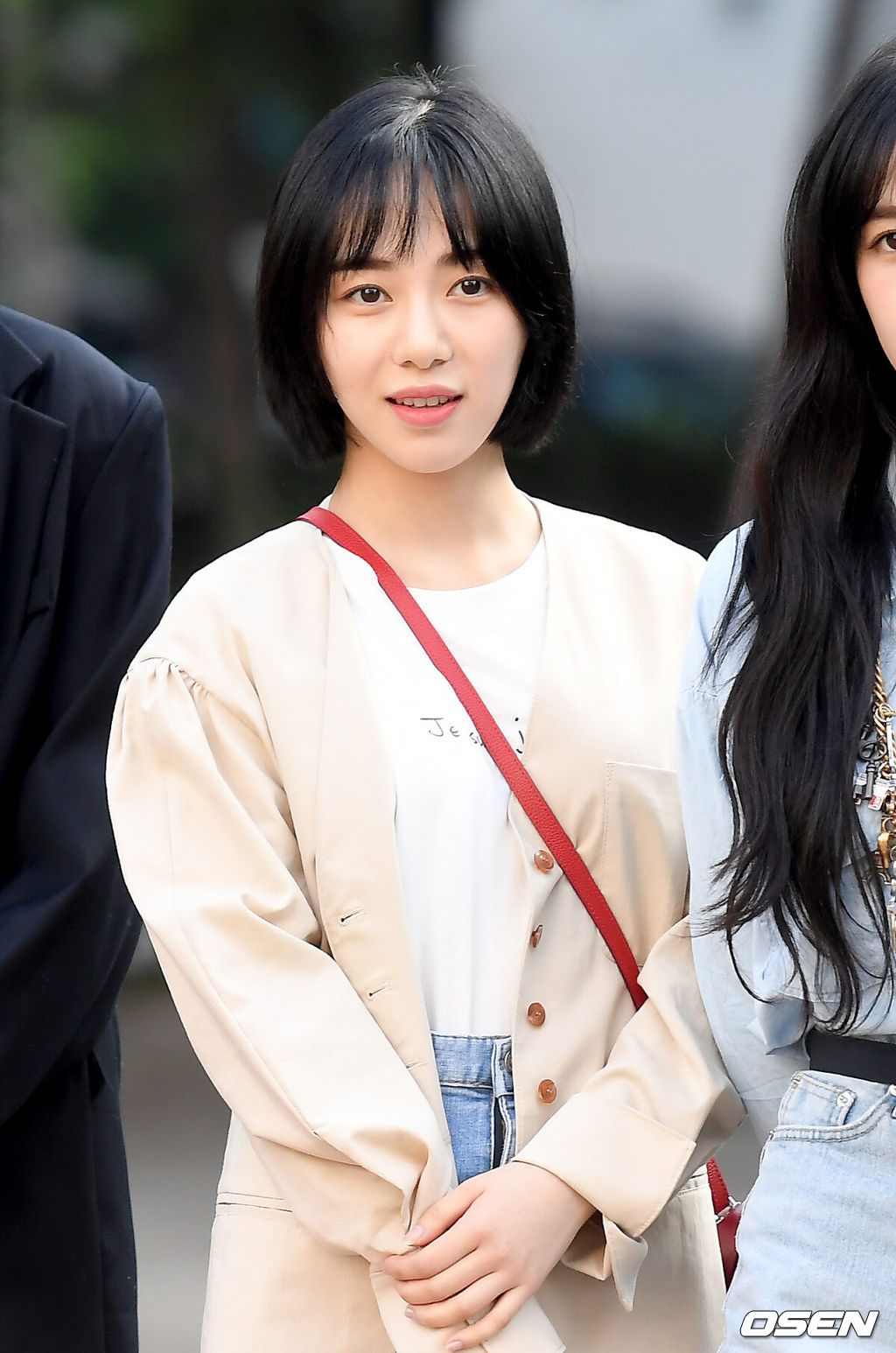 OSEN DB