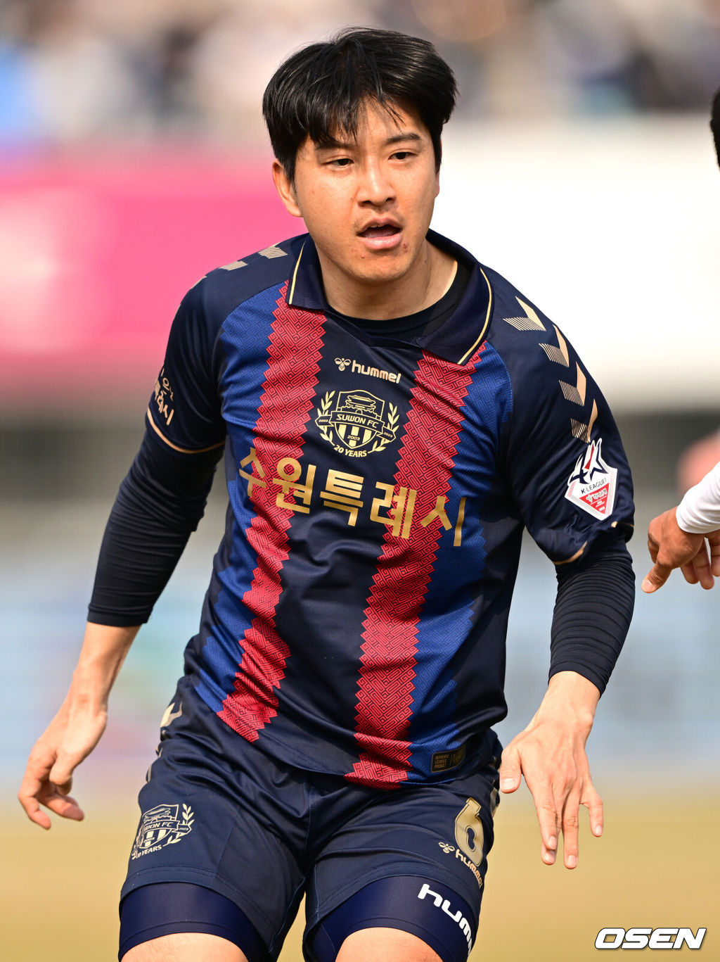 OSEN DB