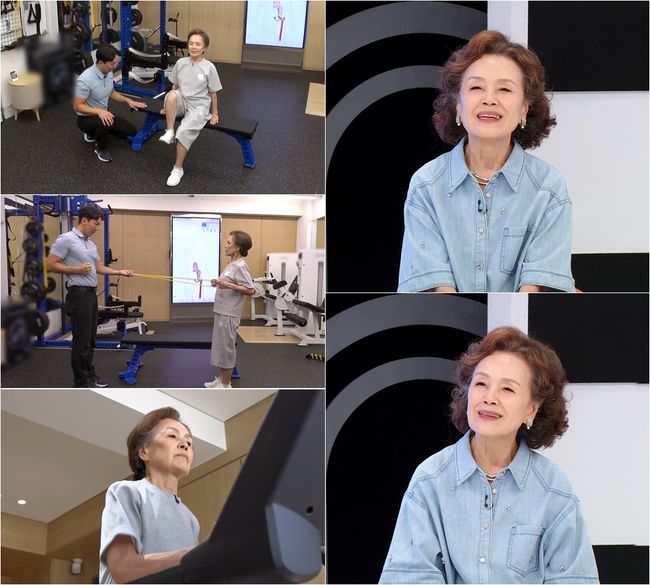 TV CHOSUN 제공