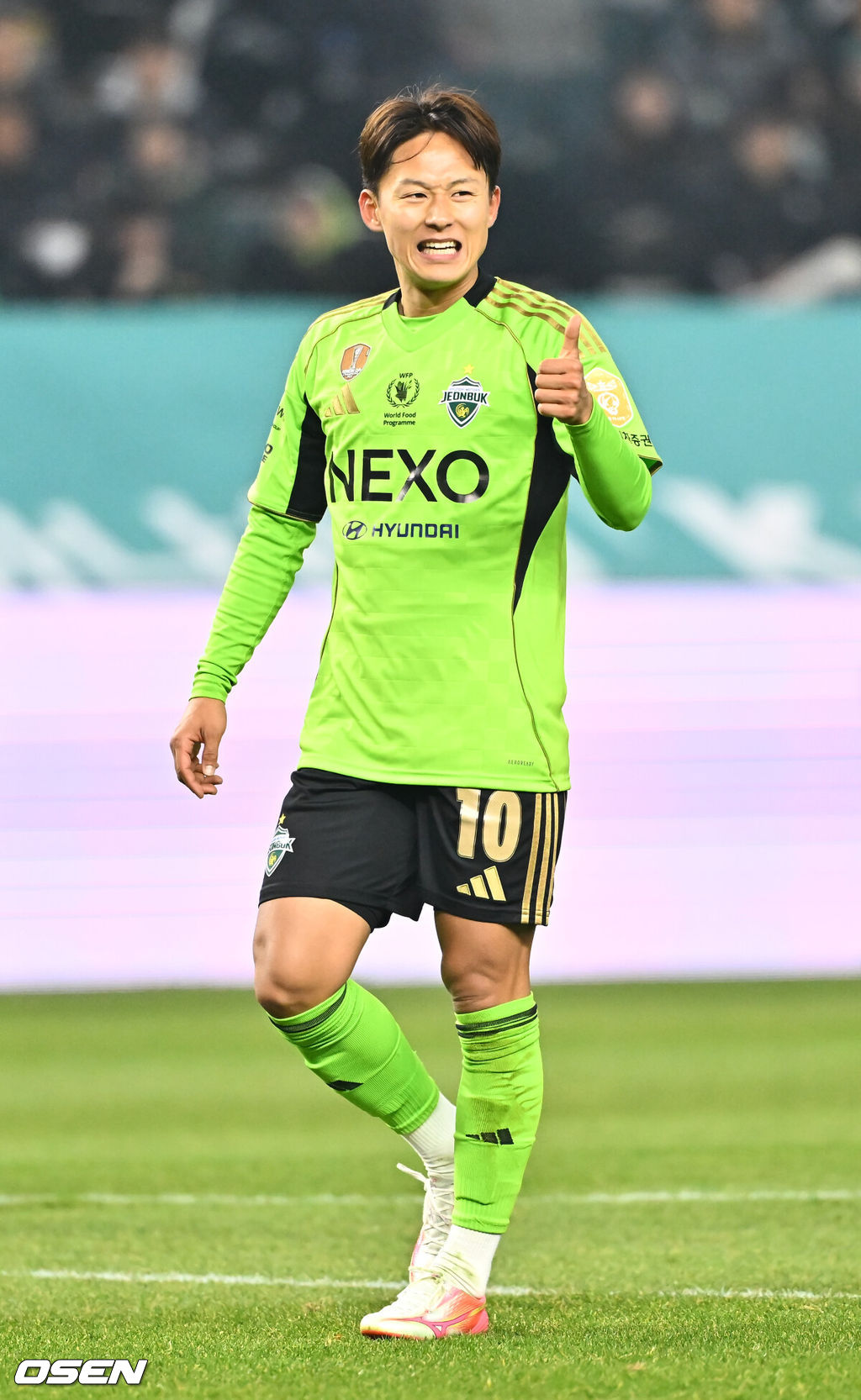 OSEN DB