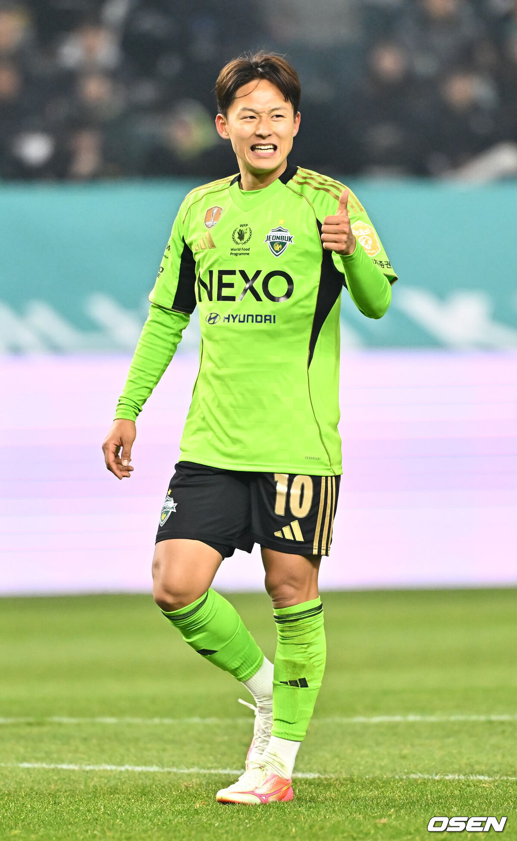 OSEN DB