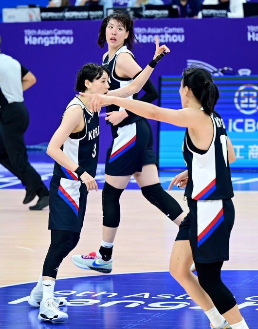 OSEN DB