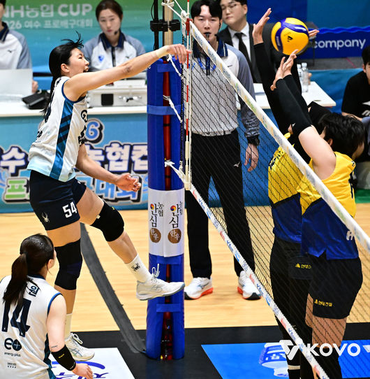 KOVO 제공