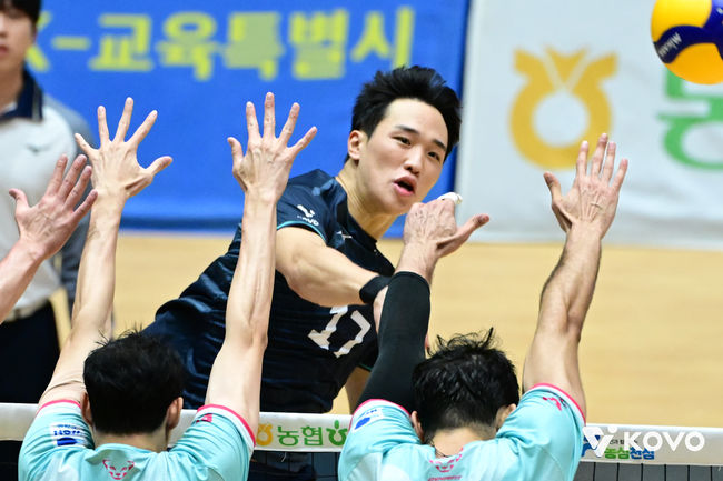 KOVO 제공