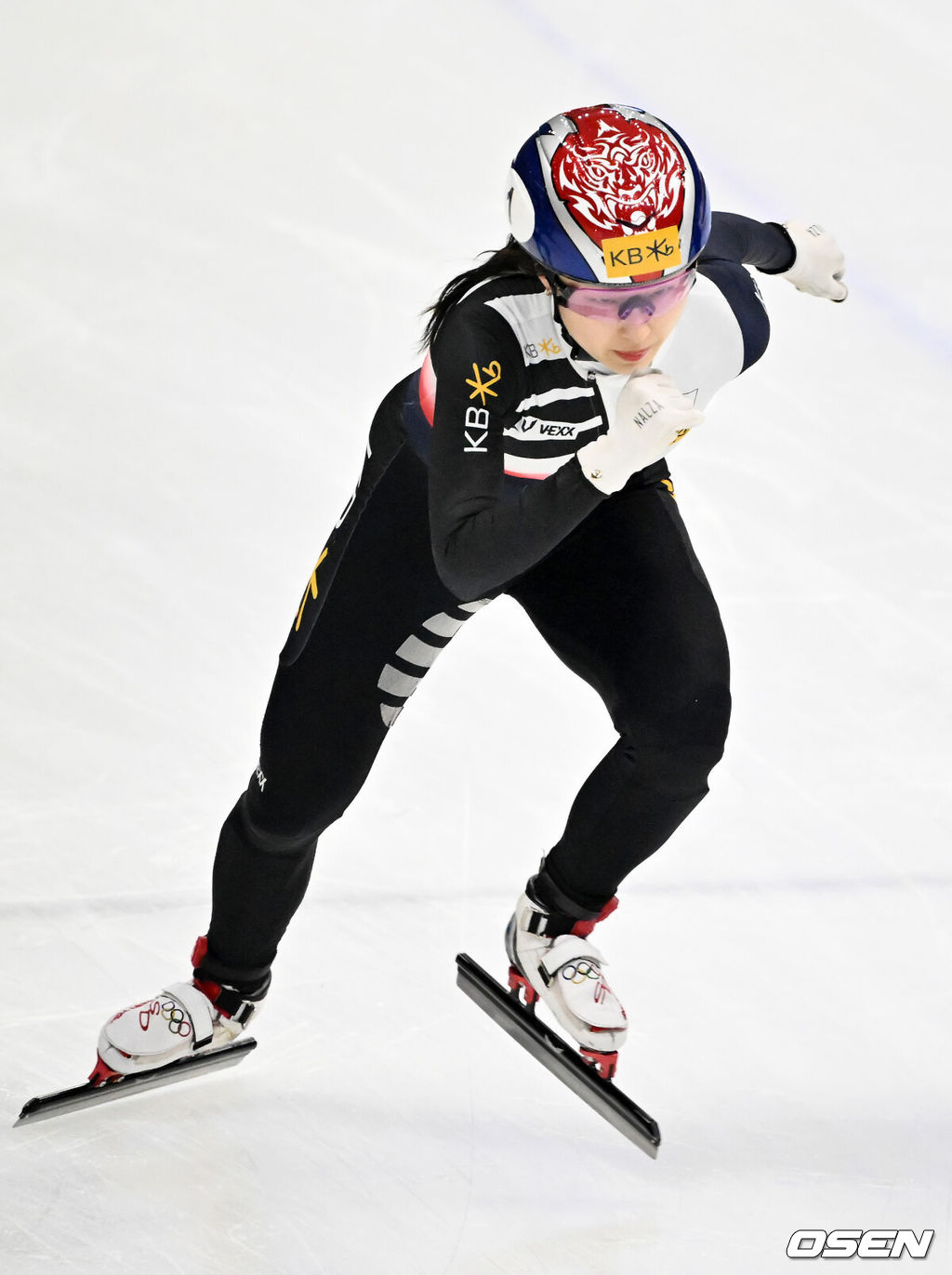 OSEN DB