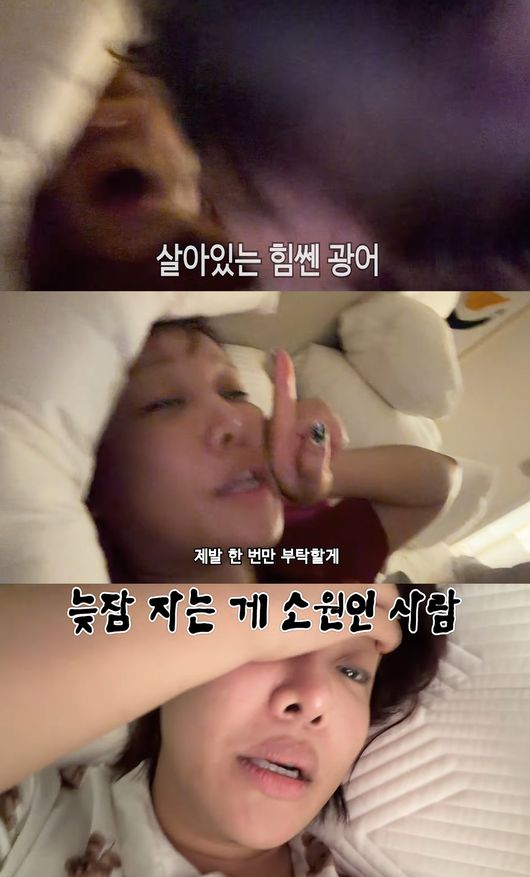 유튜브 '랄랄' 영상 캡처