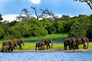 탄자니아 응고롱고로 국립공원.